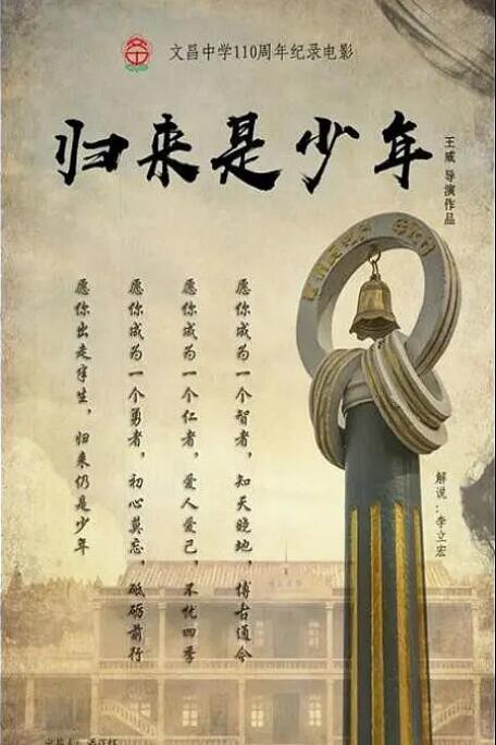 归来是少年海报